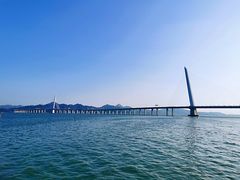 -堂本家·二代目·炸猪排(Express东海店)