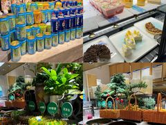 -亚马逊海鲜自助(梅溪湖步步高店)