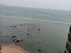 -蓬莱阁景区