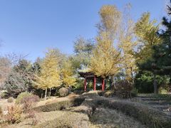 -沈阳植物园