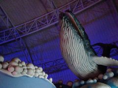 -烟台海昌鲸鲨海洋公园