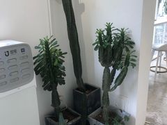 -收获咖啡HARVEST RESERVE(苍山店)