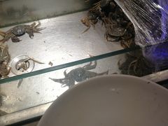 -欢乐牧场海鲜烤肉自助(牡丹园店)