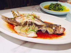 清蒸桂鱼-花园茶楼(兴城西路店)