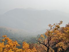 -吉林市朱雀山国家森林公园