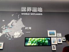 -中国湿地博物馆
