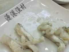 -源港渔村-中山脆肉鲩(博罗店)