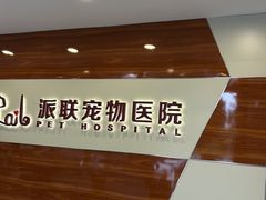 -派联宠物医院·24h·CT·异宠