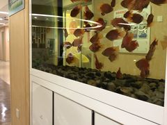 -苏州市立医院本部母子保健中心