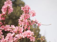-佛慧山