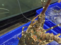 -芽庄老成都川菜馆