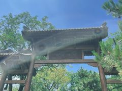 -北京鹫峰国家森林公园