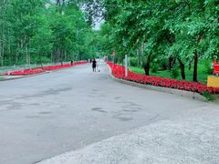 -黑龙江省森林植物园
