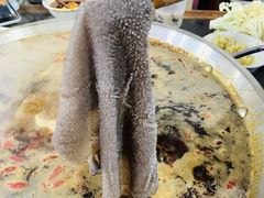 纯鲜毛肚-储奇门鳝鱼火锅(总店)