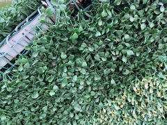 -雪浪山卡丁车俱乐部