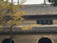 -灵谷景区