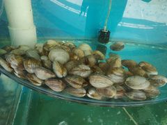 -雅逸居海鲜小厨