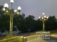-宝安西湾红树林湿地公园