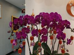 -土豆口腔(凤凰北总店)