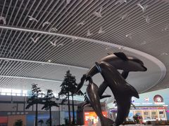 -青岛胶东国际机场