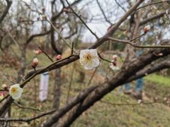 -广富林郊野公园
