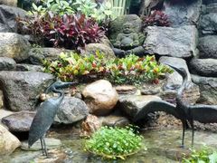 -厦门日月谷温泉渡假村