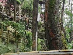 -巴倒烫陆派重庆火锅(南山店)