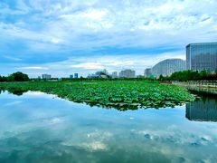 -保定东湖公园(莲池区)