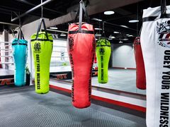 -TFC 纯泰拳馆MuayThai