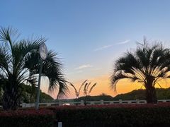 -奉贤海滩