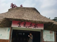 -松山湖梦幻百花洲