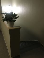 -奈瑞儿美颜塑身SPA