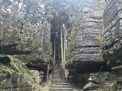 -梭布垭石林景区