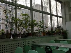 -山东大学(洪家楼校区)