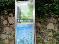 -姚林轩