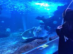 -多彩贵州城极地海洋世界