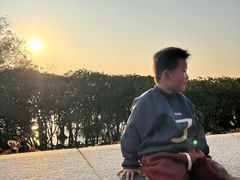 -宝安西湾红树林湿地公园