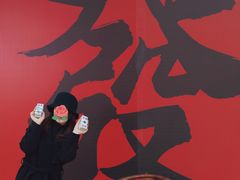 -万科生活广场(东莞松山湖店)