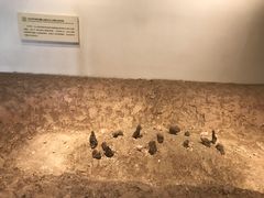 -宁波茶文化博物院