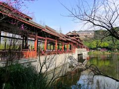 -重庆彩云湖湿地公园