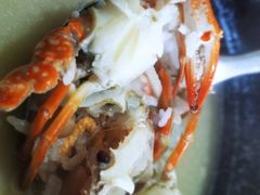 -张家卫·阳江菜·小海鲜(肥婆湾桥店)