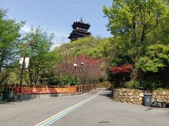 -杭州半山国家森林公园