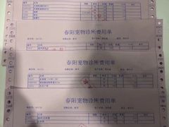 -暖阳宠物医院·犬猫康复中心·骨科