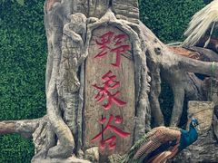 -野象谷景区