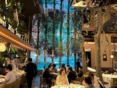 -桂满陇·海市蜃楼·黑金(国金店)