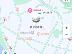 -美美阿姨醋肉(县后路店)