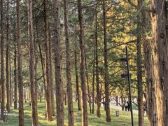 -元大都城垣遗址公园