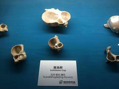 -青岛贝壳博物馆