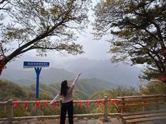-西安祥峪森林公园