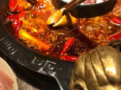 -渝大狮毛肚老火锅(遂宁万达店)